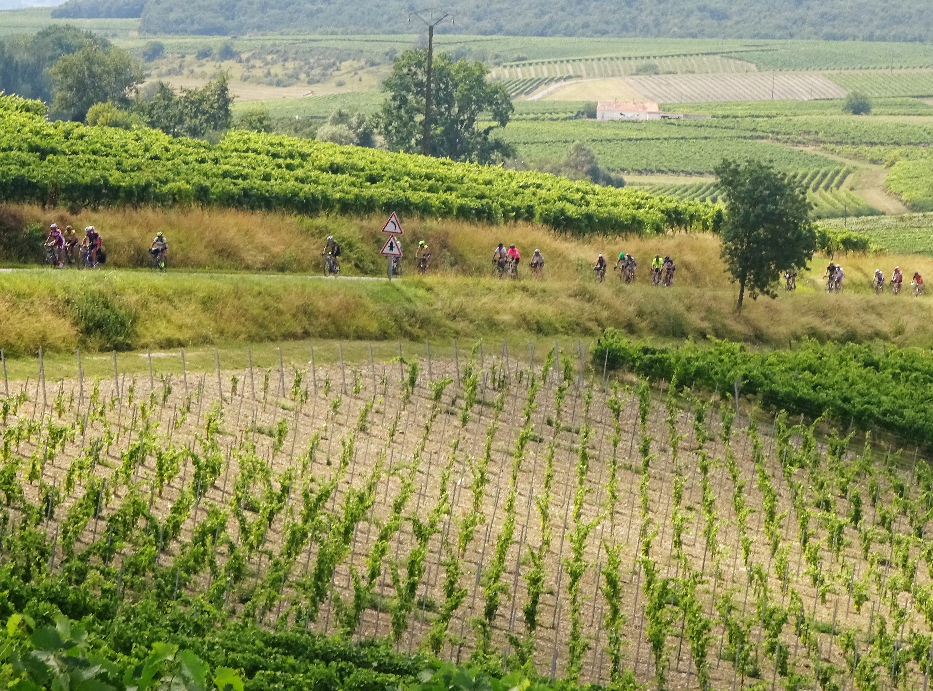 France cycling